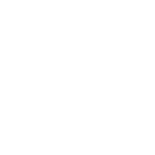 Nexpert (Logotipo)